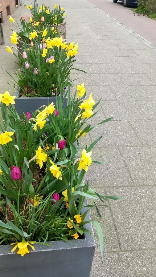 Aparthotel Marion Weber House Bremen Exterior foto